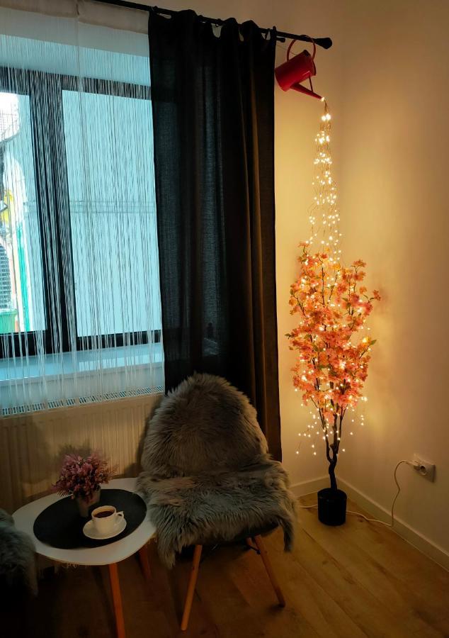 22 Loop Apartment براشوف المظهر الخارجي الصورة